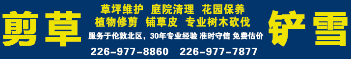 专业草坪维护 花园保养   清理庭院/西人专业健身教练  